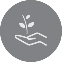 Hand holding plant favicon in white on grey background